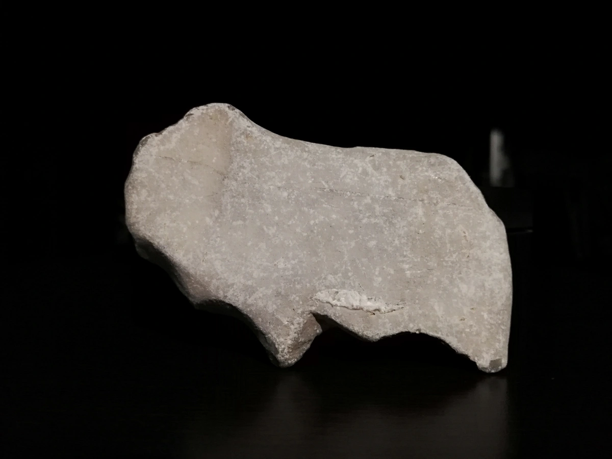 mamut bufalo bisonte